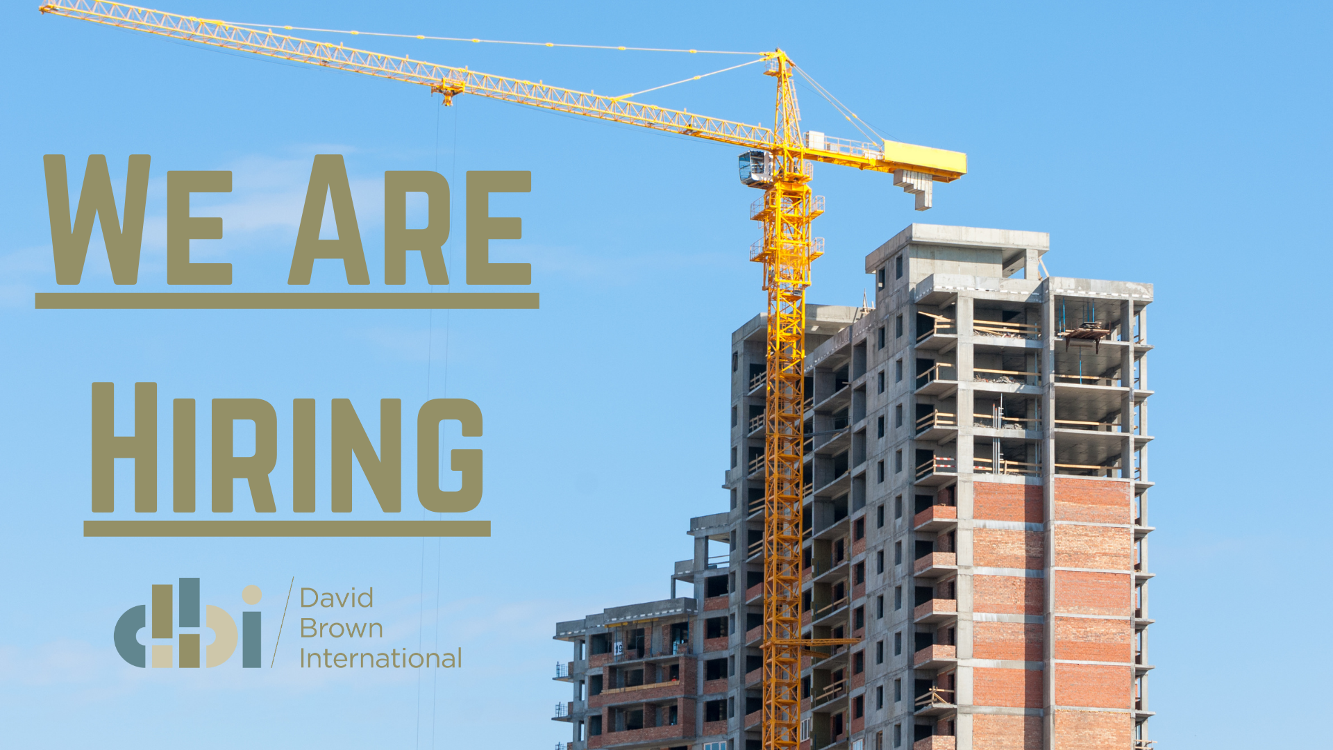 We Are Hiring a Architectural Project Manager