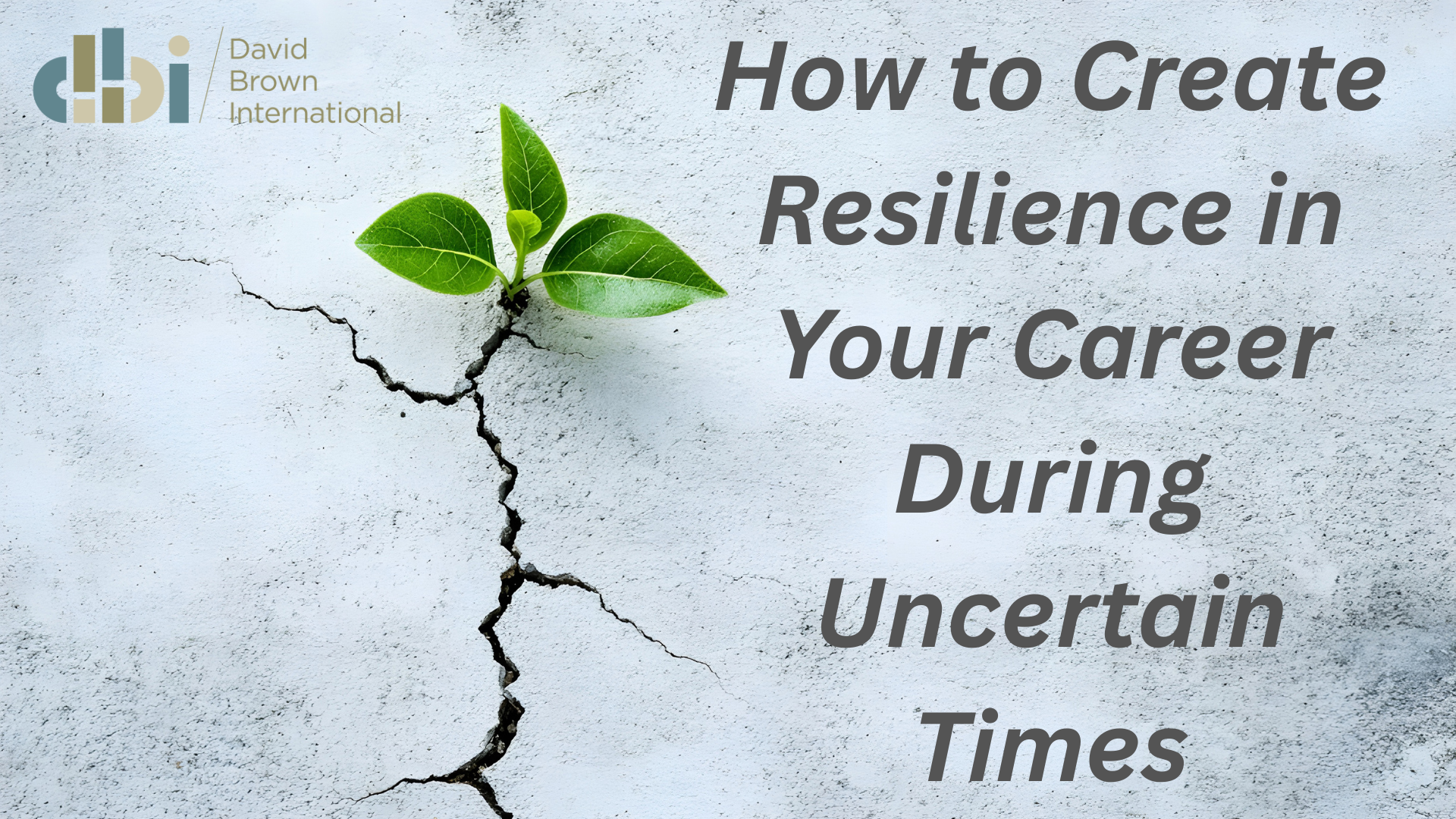 How to Create Resilience in Your Career During Uncertain Times