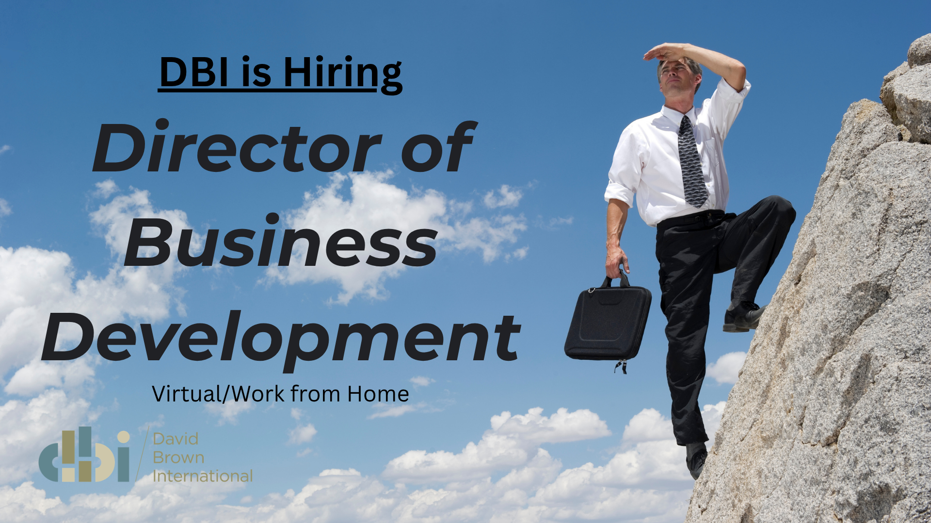 DBI is Hiring a Director of Business Development